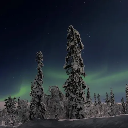 莱温艾尔比塔洛特高山小屋公寓 公寓
