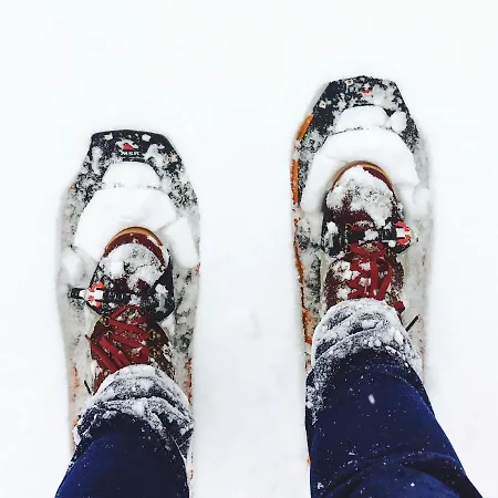 Levin Alppitalot Alpine