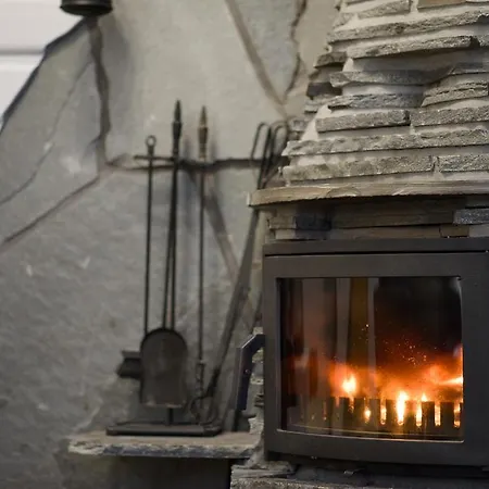 公寓 莱温艾尔比塔洛特高山小屋公寓 *