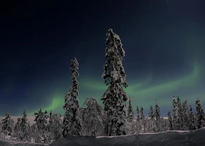 Levin Alppitalot Alpine Lägenhet