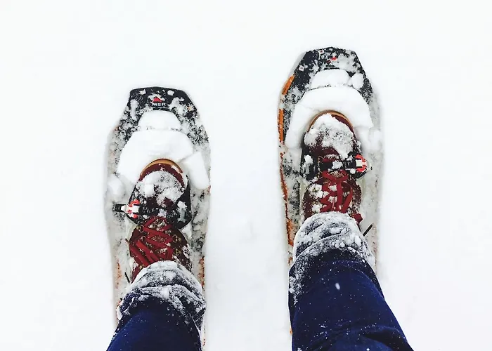 Levin Alppitalot Alpine