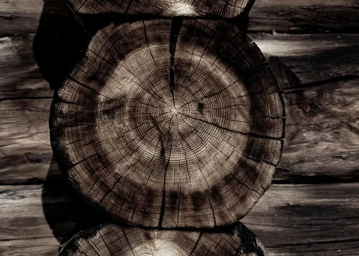 Levin Alppitalot Alpine