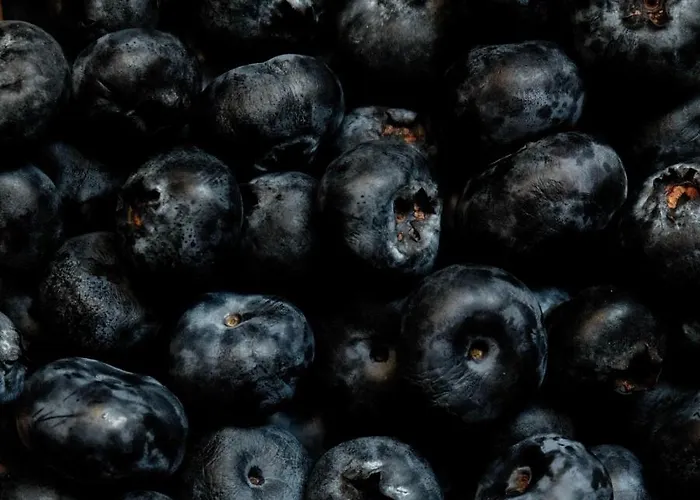 Lägenhet Levin Alppitalot Alpine *