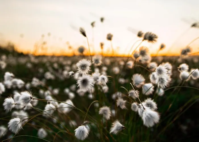 Levin Alppitalot Alpine Lägenhet