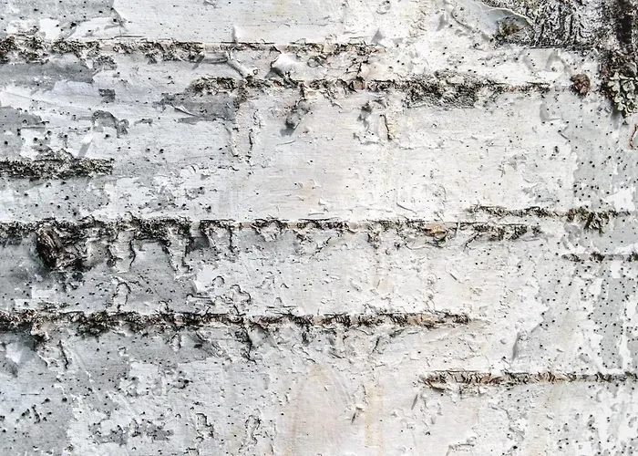 Levin Alppitalot Alpine Levi